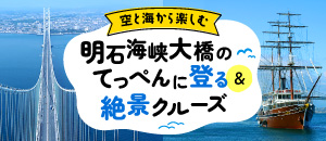 明石海峡大橋の主塔塔頂体験とクルージング ～ 岩屋港ブランド生しらす丼付 ～