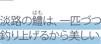 淡路の鱧は、一匹づつ釣り上げるから美しい