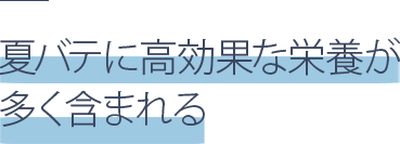 夏バテに高効果な栄養が多く含まれる