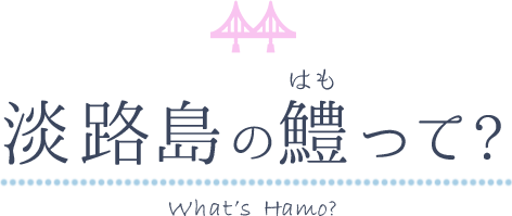 淡路島の鱧って？