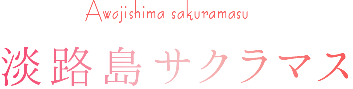 淡路島サクラマス