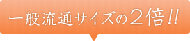 一般流通サイズの2倍!!