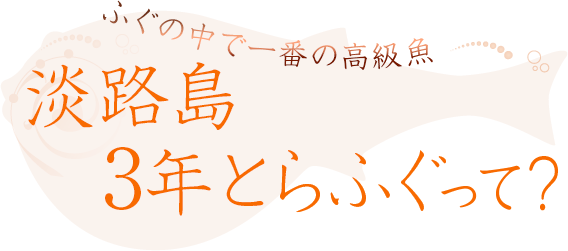 淡路島3年とらふぐって？