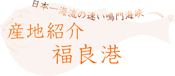 日本一海流の速い鳴門海峡 産地紹介福良港