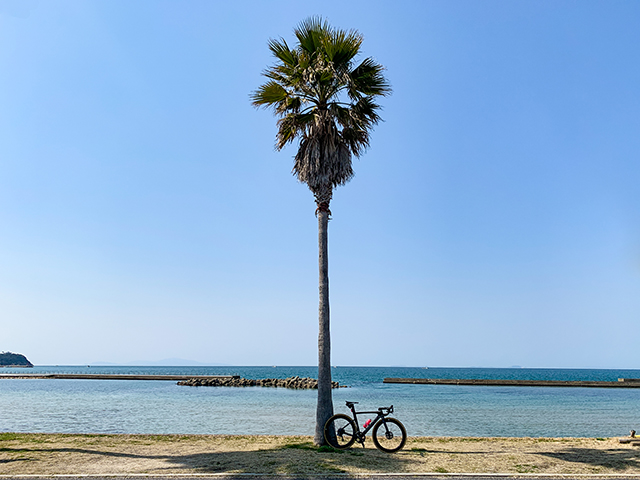 多賀の浜