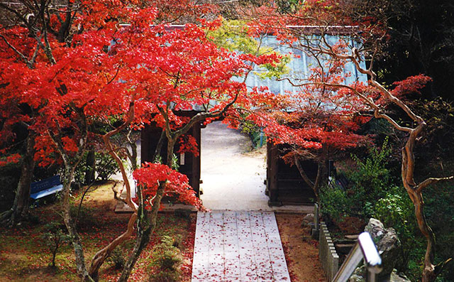 Tosan-ji Temple