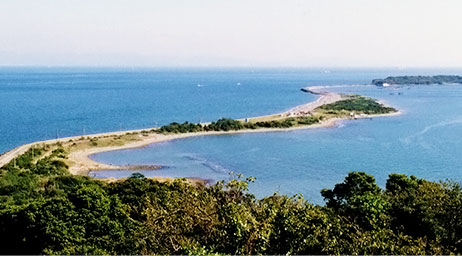 Narugashima