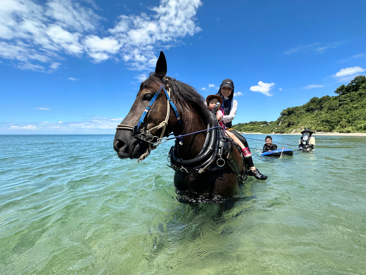 【夏季限定】海辺で馬と過ごすゆったり時間。ふれあい、乗馬体験、ホースチューブを引いてもらって馬と一緒に海泳ぎしよう!海辺アクティブコース
