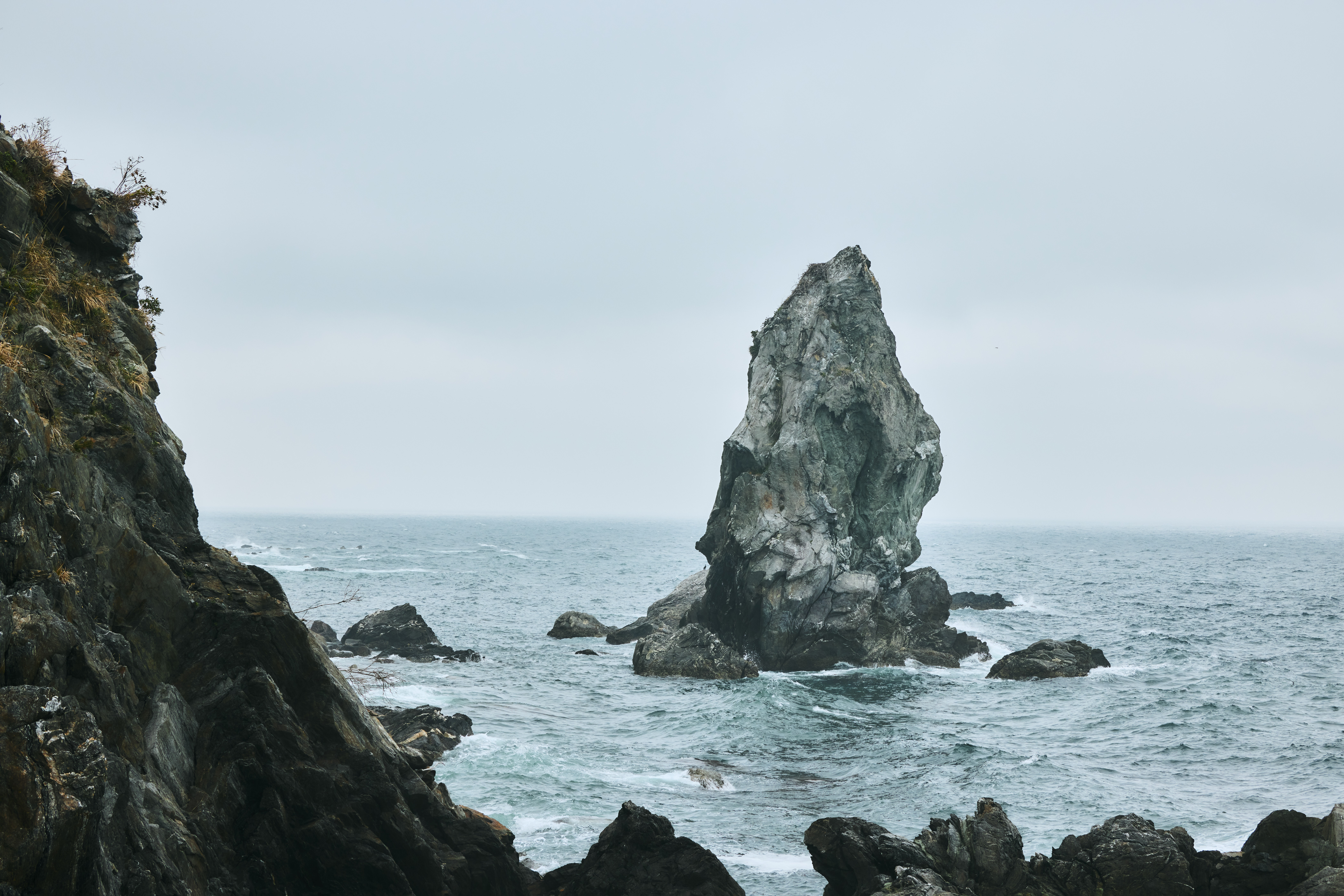 沼島おのころクルーズ～古事記に記載されている日本神話「オノコロ島伝説」の舞台とも言い伝えられる沼島をぐるり一周!～本物の漁船でベテランガイドとまわる神秘的奇岩見学プライベートツアー