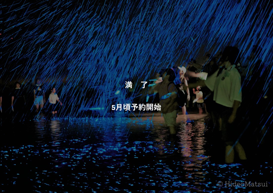 【小学生以上限定】神秘の光・海ホタル!! 【7・8・9月限定】西海岸の穏やかで安全なビーチで「世界初の海ホタルショー」を開催!