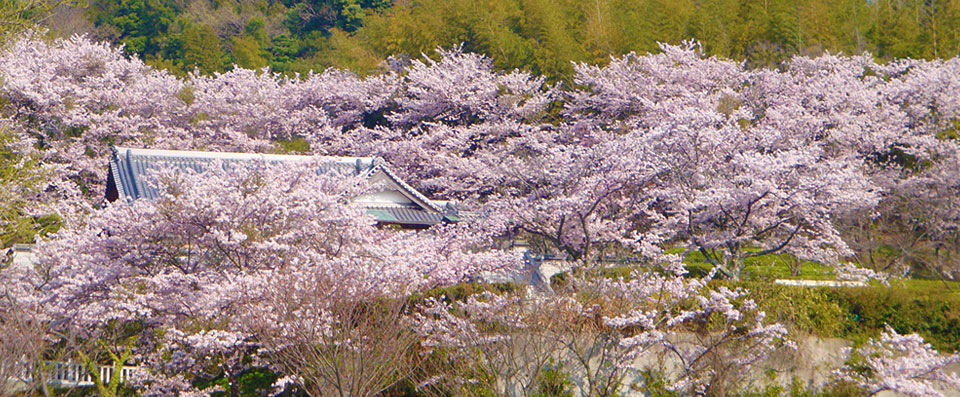 온조지 절