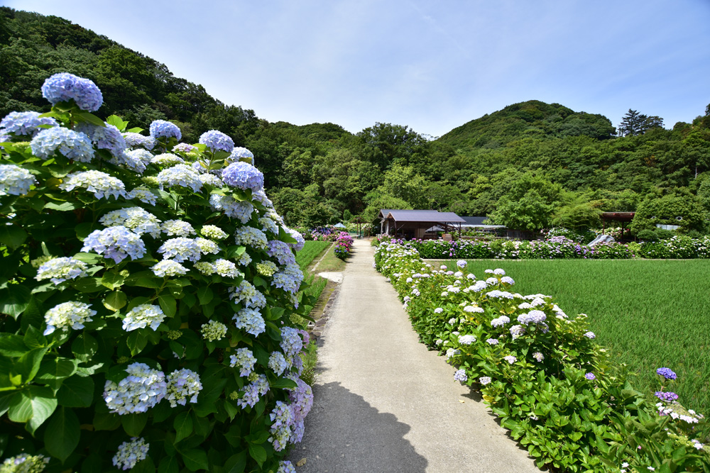 山水 山水 水墨調 イラスト素材 [ 5396548 ] - フォトライブラリー ...