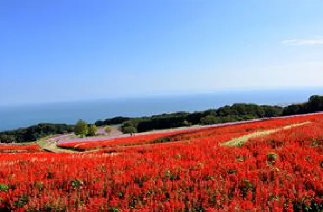 あわじ花さじき