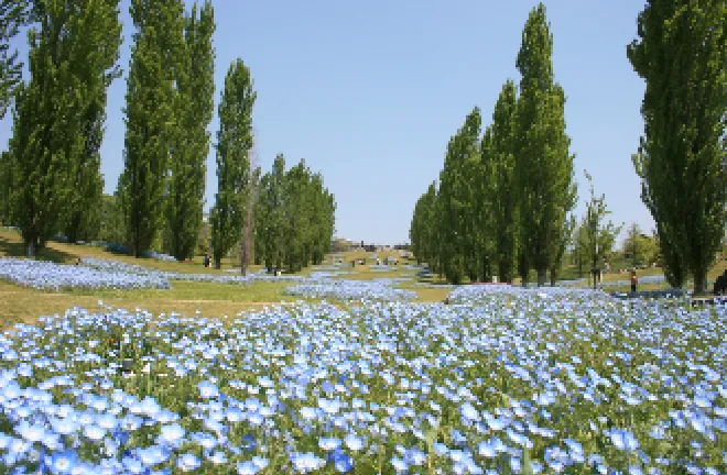 国営明石海峡公園