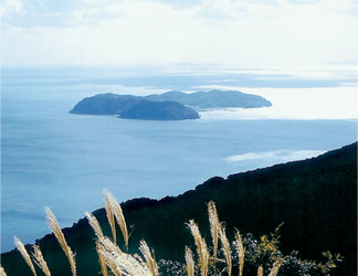 沼島