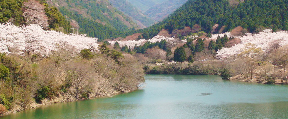 谕鹤羽水坝